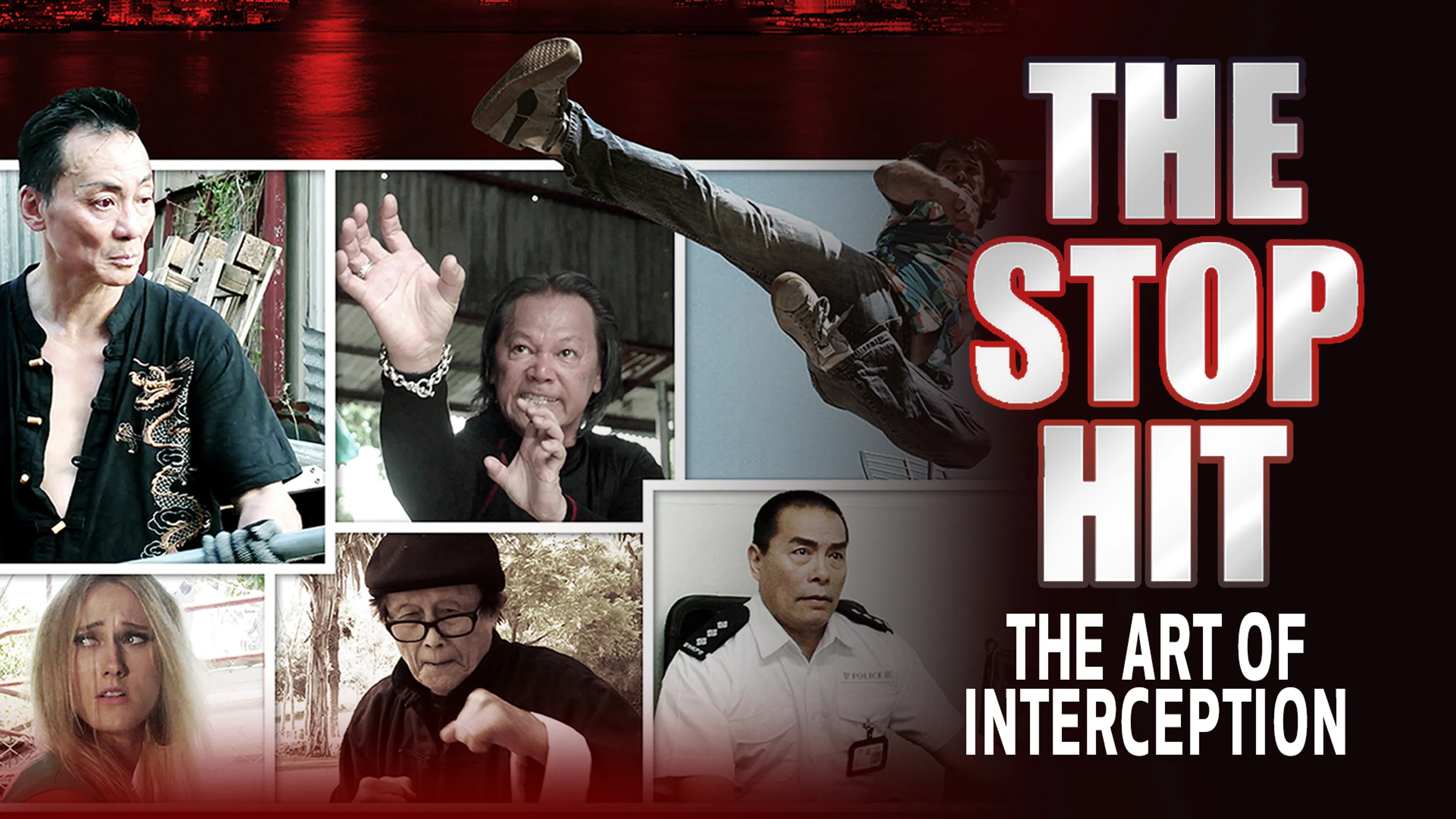 The Stop Hit: The Art of Interception poster